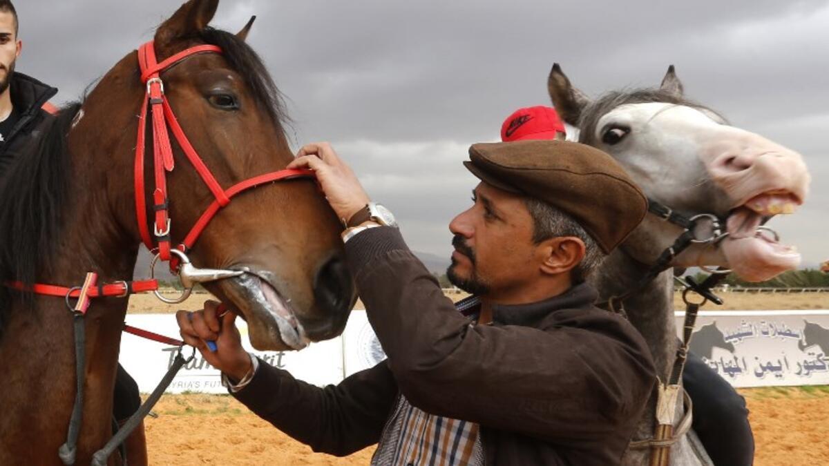 Horse trainer Jihad Ghazal (R) holds the harness of a horse named Nejm (star, in Arabic) at a track in the town of Dimas, west of the Syrian capital Damascus LOUAI BESHARA / AFP