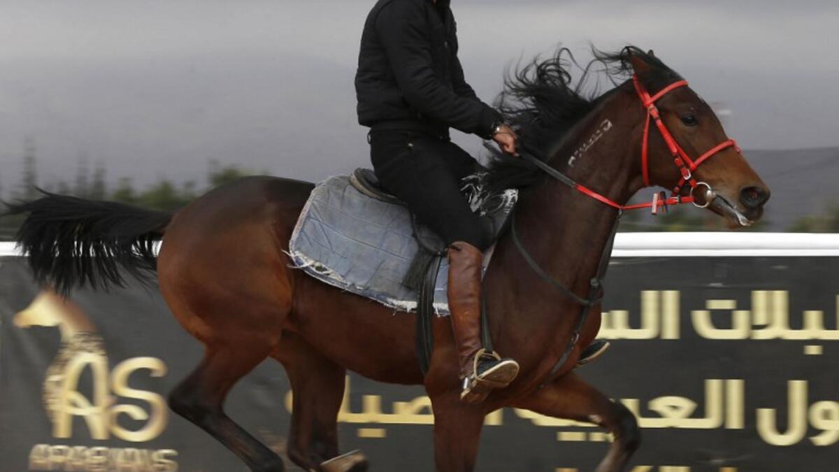 A Syrian man rides a horse at a track in the town of Dimas, west of the Syrian capital Damascus LOUAI BESHARA / AFP