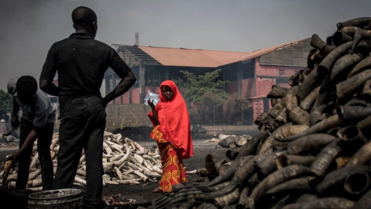 A girl stands in front of cow horns at Kaduna Abatour meat market in North Kaduna CRISTINA ALDEHUELA / AFP