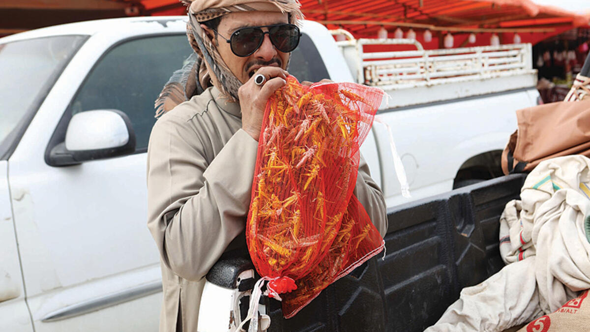 Yumi, Yumi. (kuwaittimes)