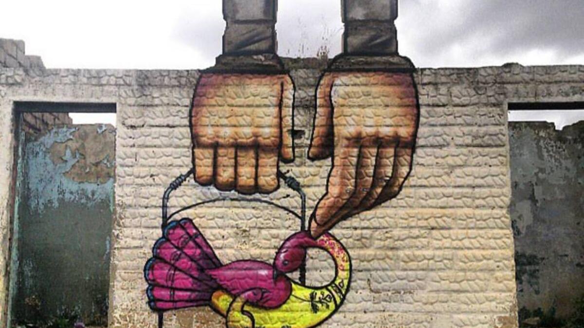 (Facebook/ Falko One)