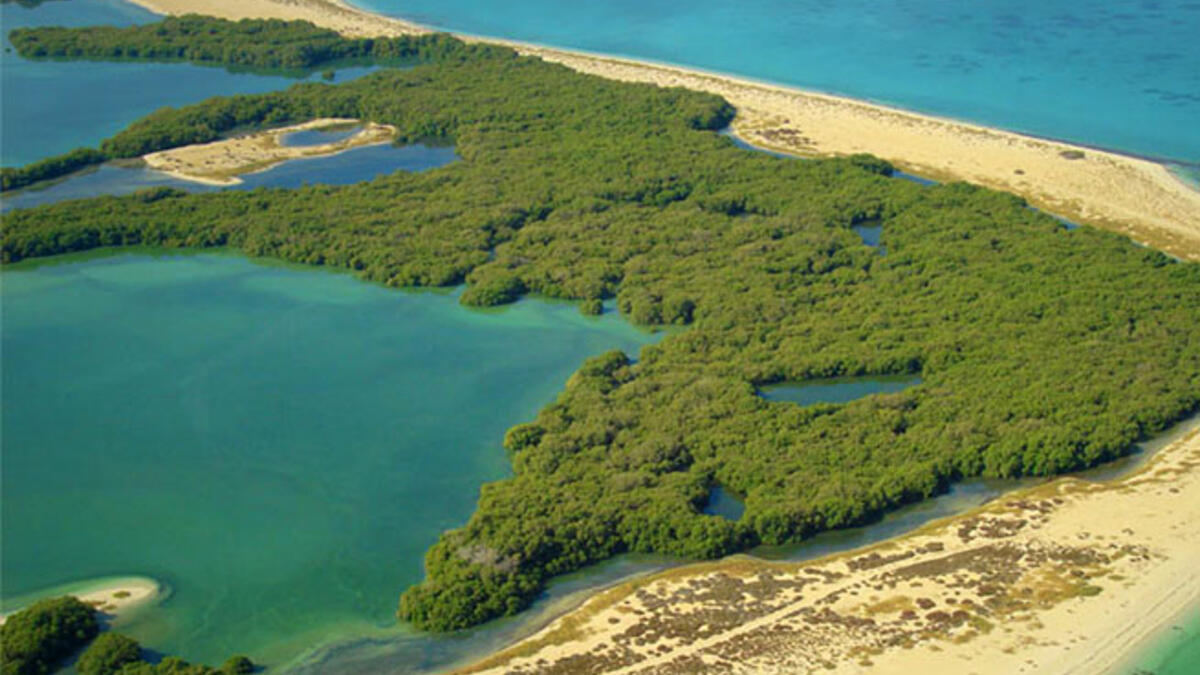 Bu Tinah Island, Abu Dhabi: The Middle East even has its fair share of tropical islands! This tiny archipelago serves as a protected nature reserve and has extensive coral and seagrass beds.