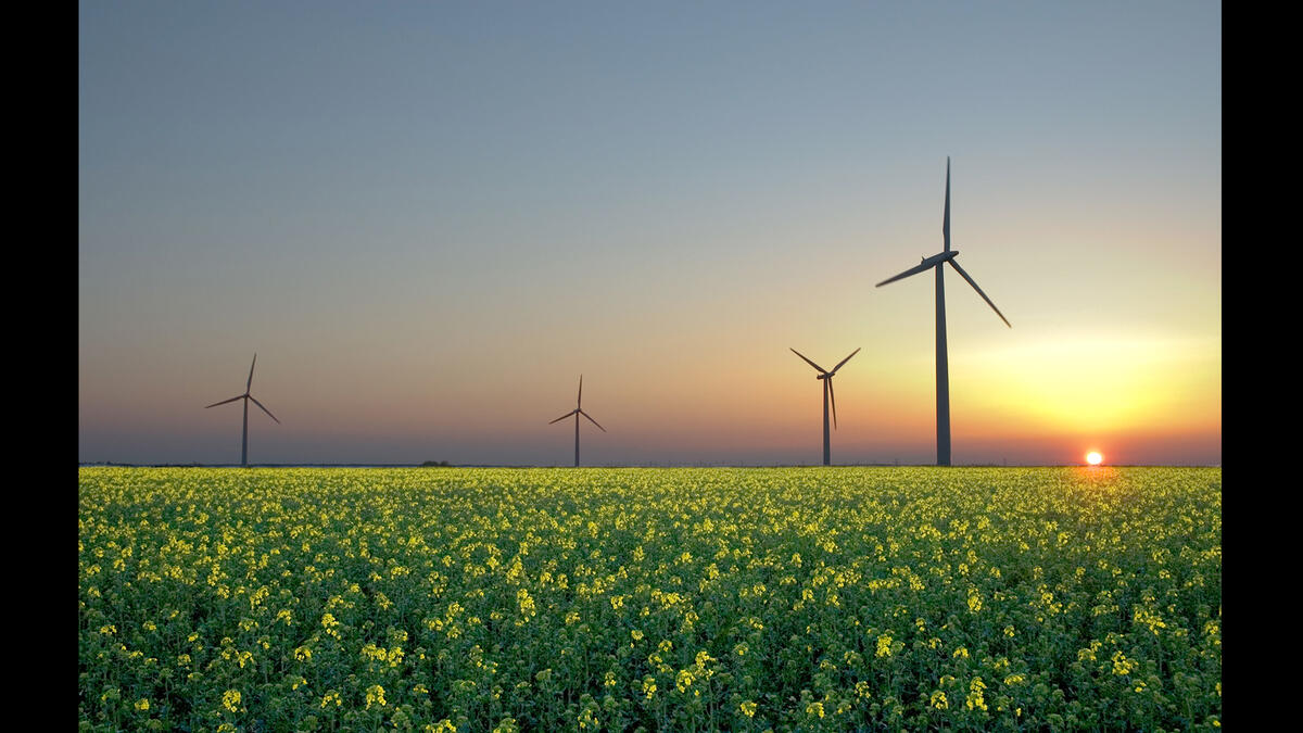 Oil is - and will be for some time - the lifeblood that keeps the industrial world going. But initiatives by Europe, the US, and other regions to promote alternative energy could very well threaten Saudi’s energy stranglehold.