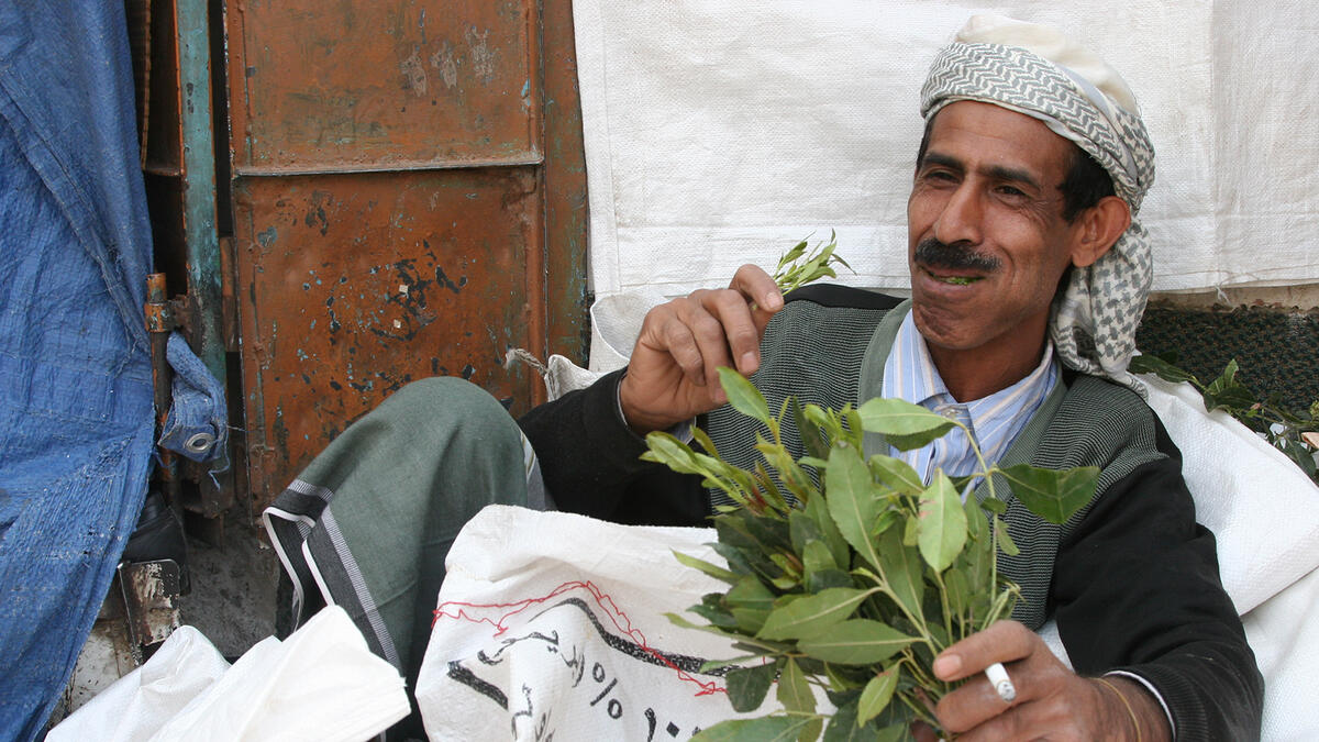 man chewing khat in Yemen