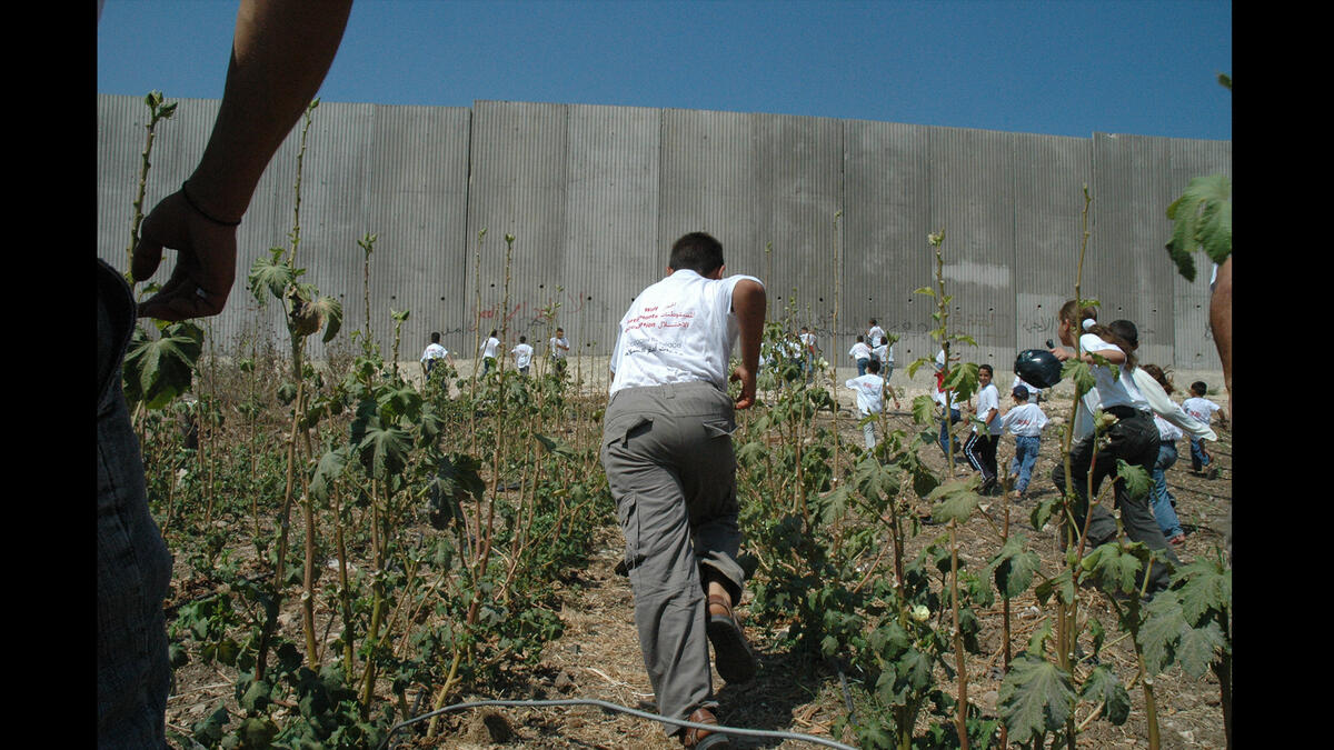 Palestinian farm near barrier wall