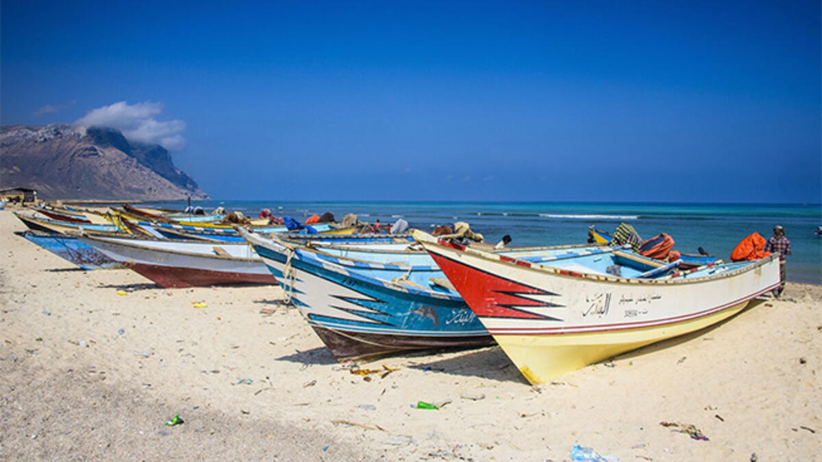 Salmon Fishing in the Yemen