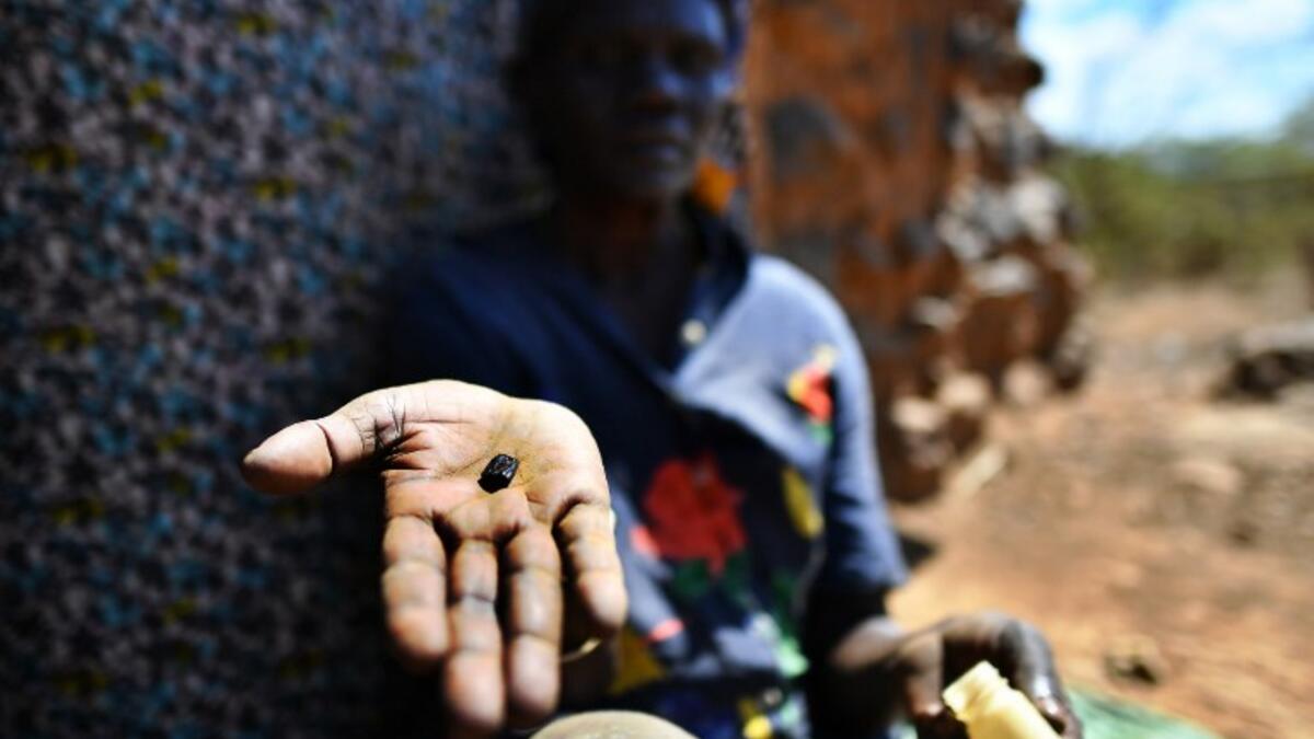 Esther Ewoi, a traditional snake-bite healer, shows the little black stone she uses to suck venom out of a snakebite, as she sits outside her home in Kapkirwok village in Baringo county, on February 21, 2019. 
TONY KARUMBA / AFP