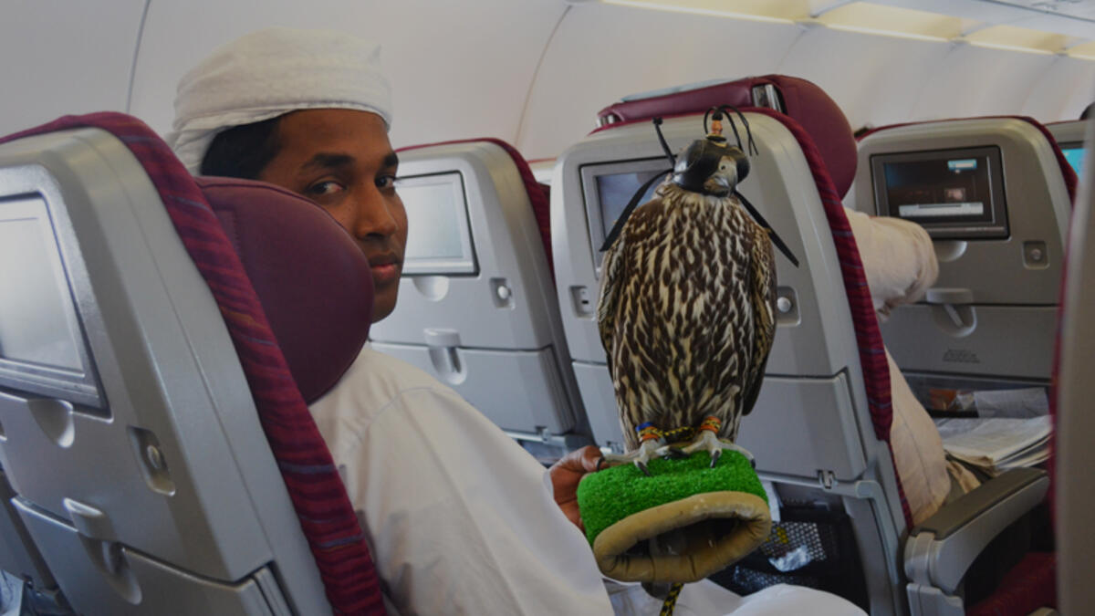 Make sure your wife looks oppressed. Force her to sit in the aisle seat, know her favorites drinks and snacks and order them for her yourself. That’s what oppression looks like.