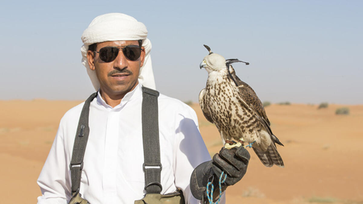 Falconry is an important part of Arab heritage and kind of a big deal in the Gulf! Training falcons is not only a rite of passage for some men, it is a symbol of status too. Some falcons can cost over $ 1 million.