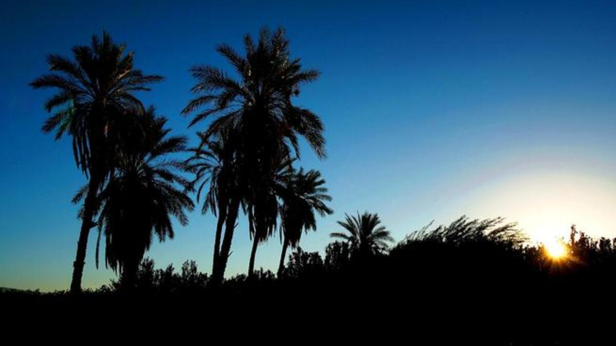 The Kingdom of Saudi Arabia tell of largest consumption of dates in years, and a new trend of eating 'fool' or
 fava beans (more famously the staple pulse of Egypt) at iftar (break of fast meal). KSA is known as the
 "The Land of
 the Two Holy Mosques" the two holiest sites in Islam.