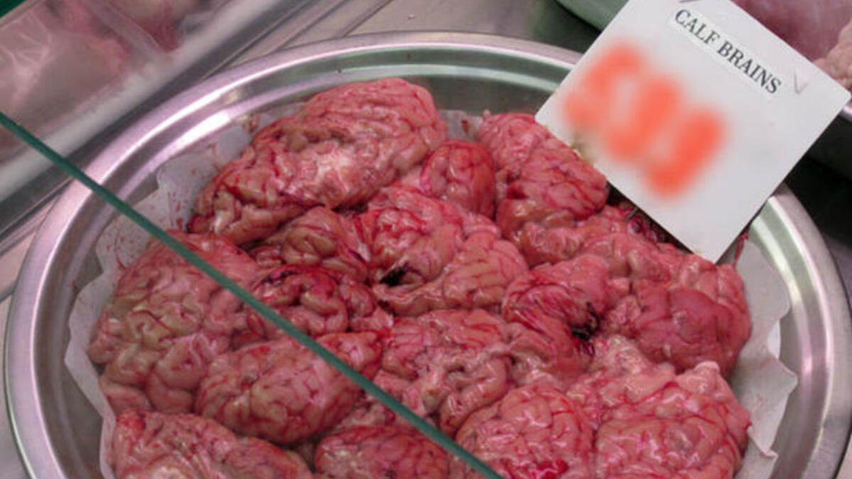 Cow brain smuggling