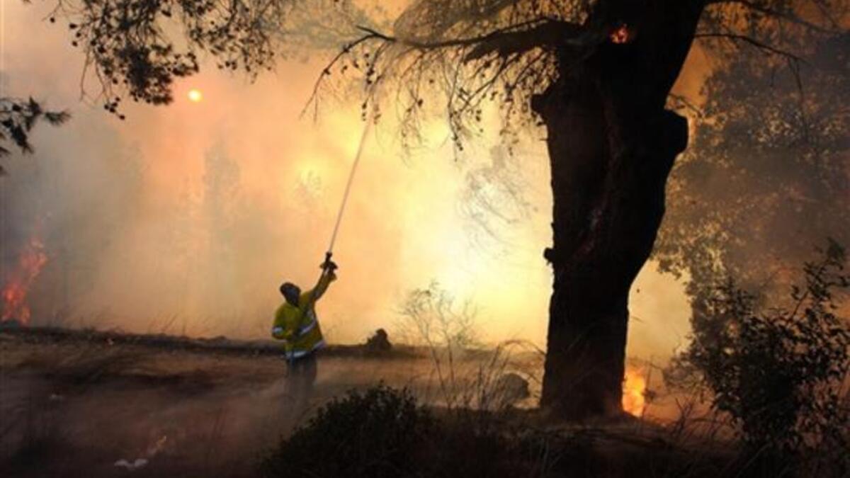 Israeli firefighters try to extinguish fire in the Carmel Forest near the northern city of Haifa, as global help poured in to battle the biggest inferno in the country history