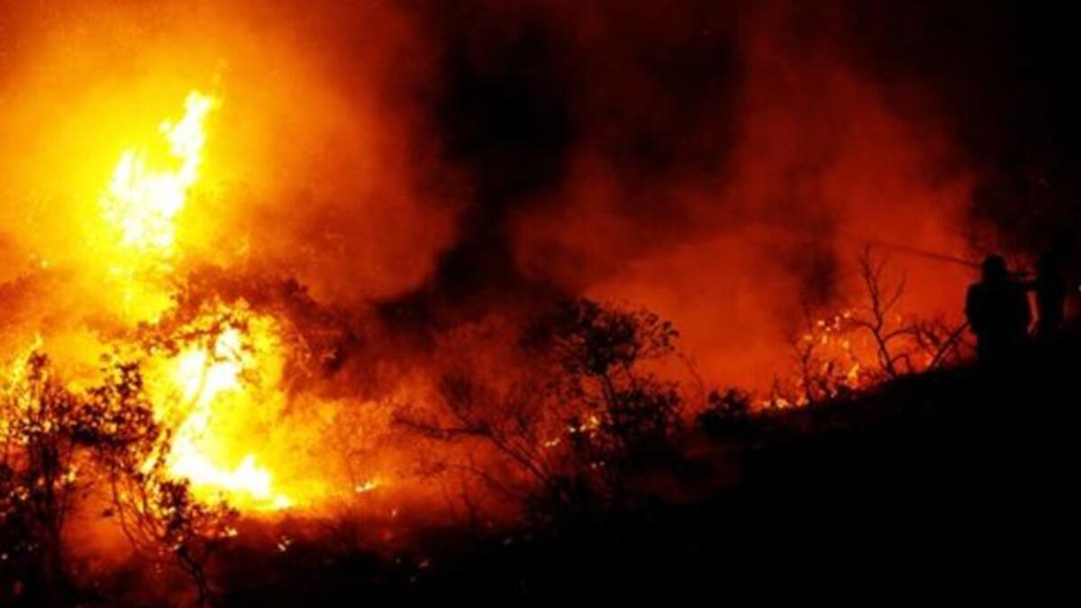 Israeli firefighters work on the slope of a burning hill in Tirat Ha Carmel near the northern city of Haifa