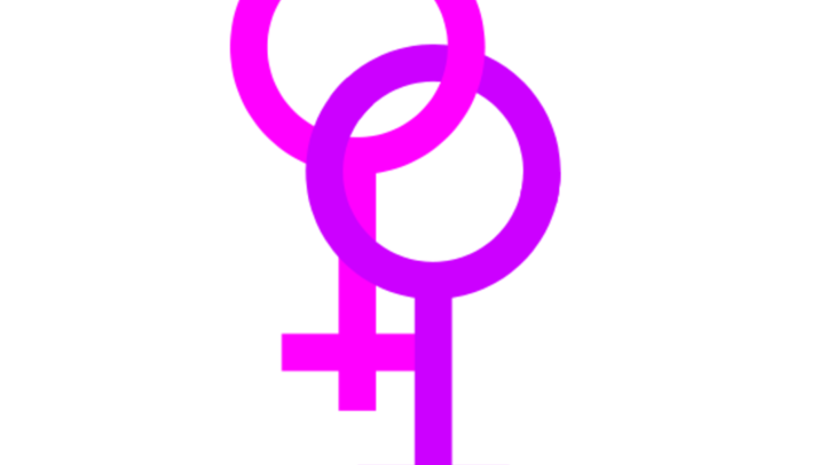 Arab lesbians lash back: The defacto gay Syrians&LGBT Arab activists, were not impressed. They feel scorned, exploited and more exposed. "You took away my voice," said a gay blogger, (we believe) 
Daniel Nassar. Others hit back with mock blog profiles- 'Arab lesbian pretending to be a white boy.'