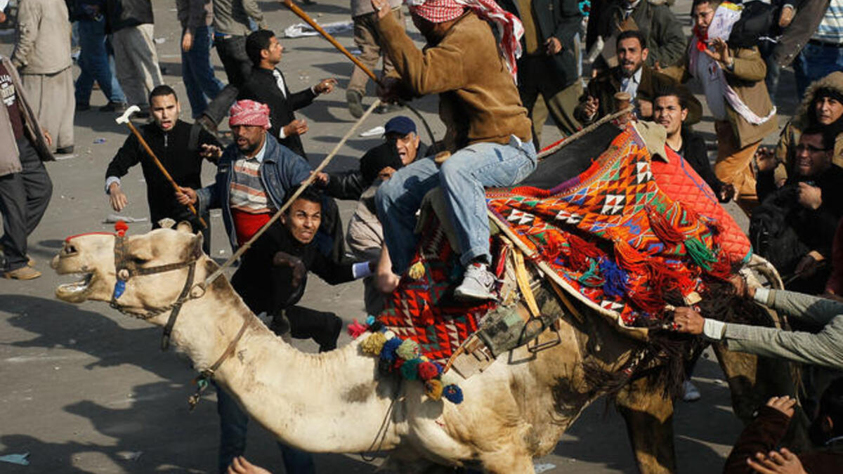 A supporter of embattled Egyptian president Hosni Mubarek rides a camel through the melee during a clash between pro-Mubarek and anti-government protesters in Tahrir Square.