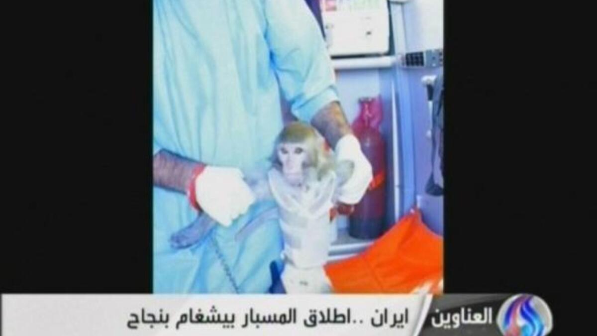 Iran sends a monkey to space