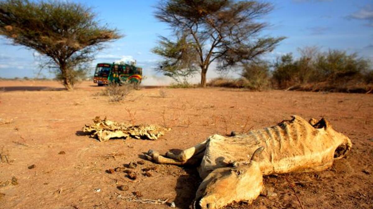 2.2 million out of 3.7 million Somalis remain at risk of dying. It is common for Muslims to take care
of the poor through alms-giving all year-round, which is upped at Ramadan. Public tents are erected to feed 
the needy. In Jordan & Lebanon this can include the dispossessed Palestinian refugees.