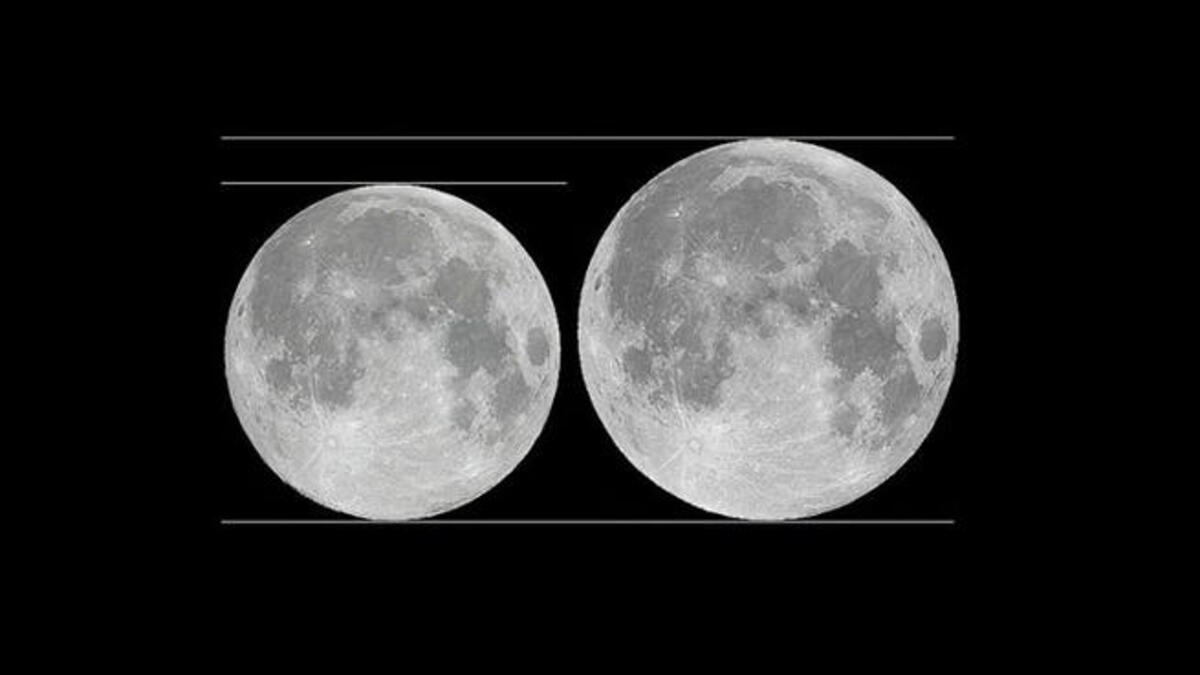 Fourteen percent bigger looks like this. In this illustration, the Galileo spacecraft shows the approximate difference in apparent size between a full moon at perigee.