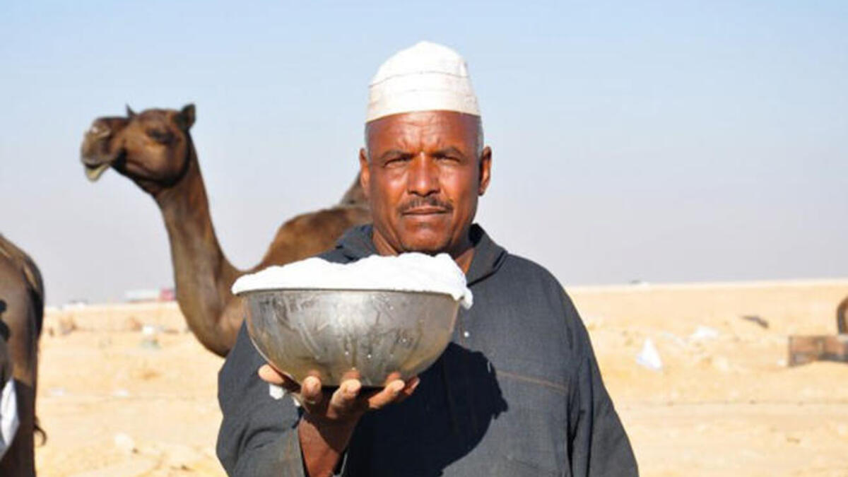 Camel milk for soft skin