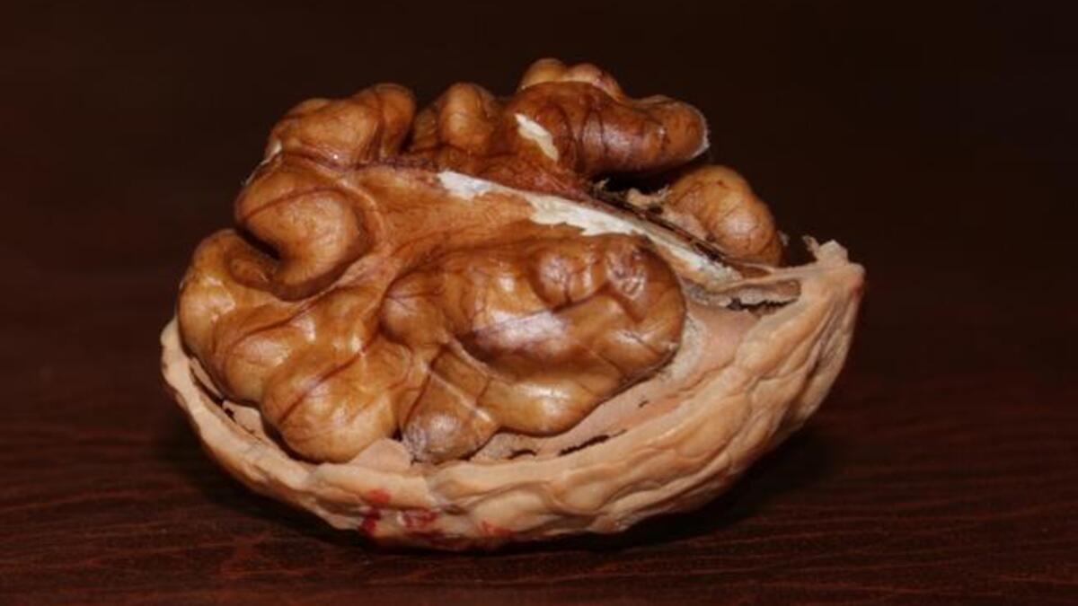 Walnuts are full of wintery goodness.