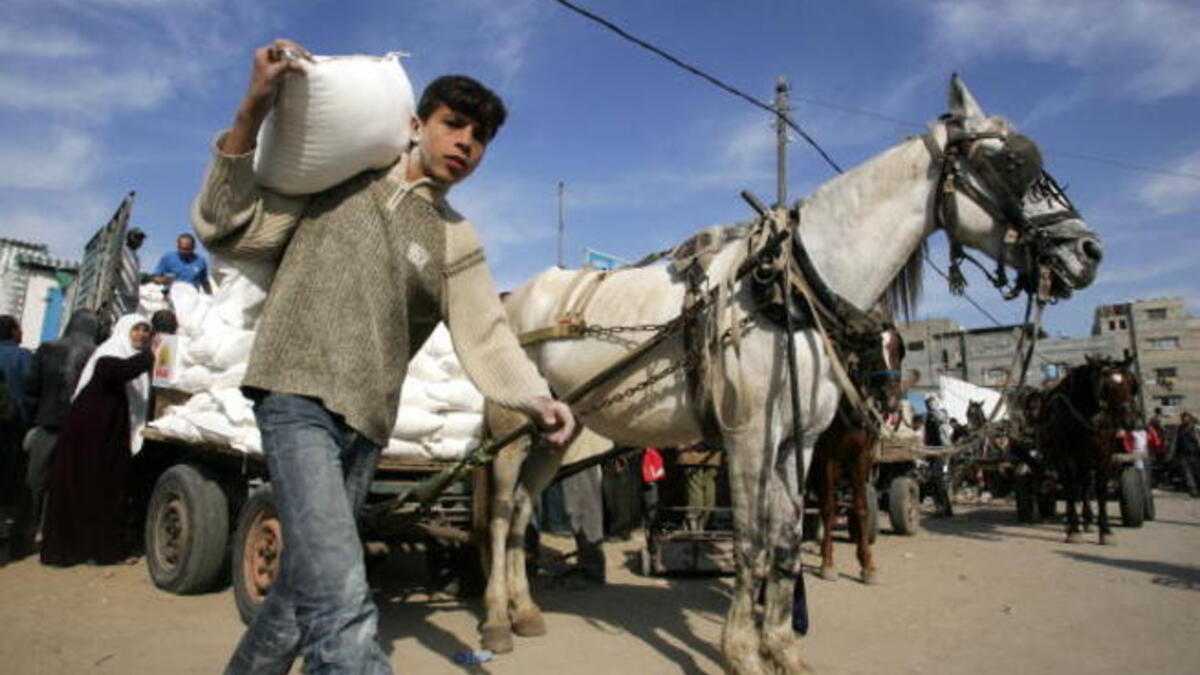 Palestinians receive food aid from the United Nations Relief Works Agency (UNRWA) in the al-Shati camp, Gaza (Getty)