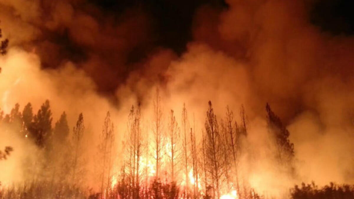 نوفمبر: حرائق كاليفورنيا وهي واحدة من أقوى الحرائق التي ضربت غابات ولاية كاليفورنيا، حتى غطت مساحة 6,749.57 كلم مربع.