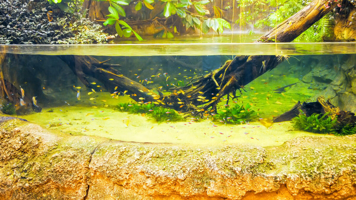 Istanbul Aquarium. (Shutterstock/ File Photo)