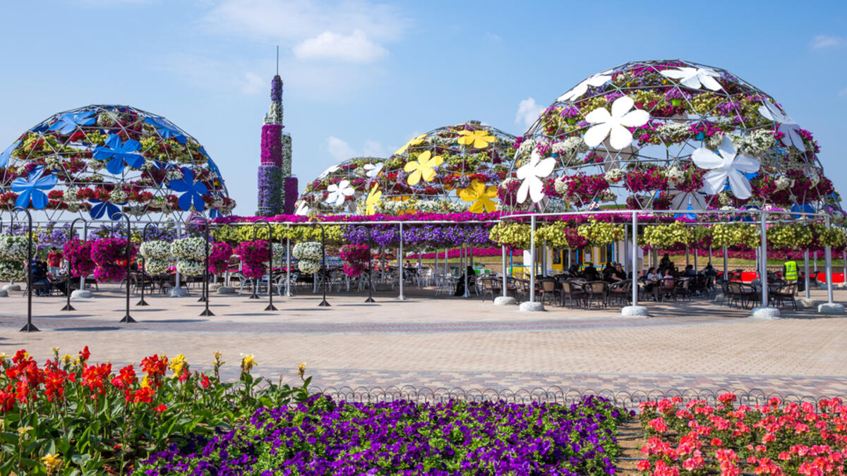 Beautiful Miracle Garden at Dubai, UAE. (Shutterstock/ File Photo)