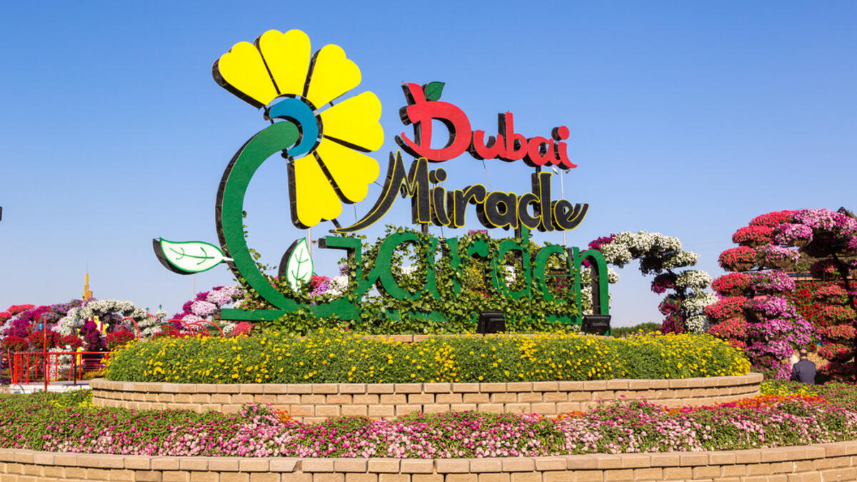 Dubai miracle garden consists of over 109 million flowers that shapes different flower statues. (Shutterstock/ File Photo)