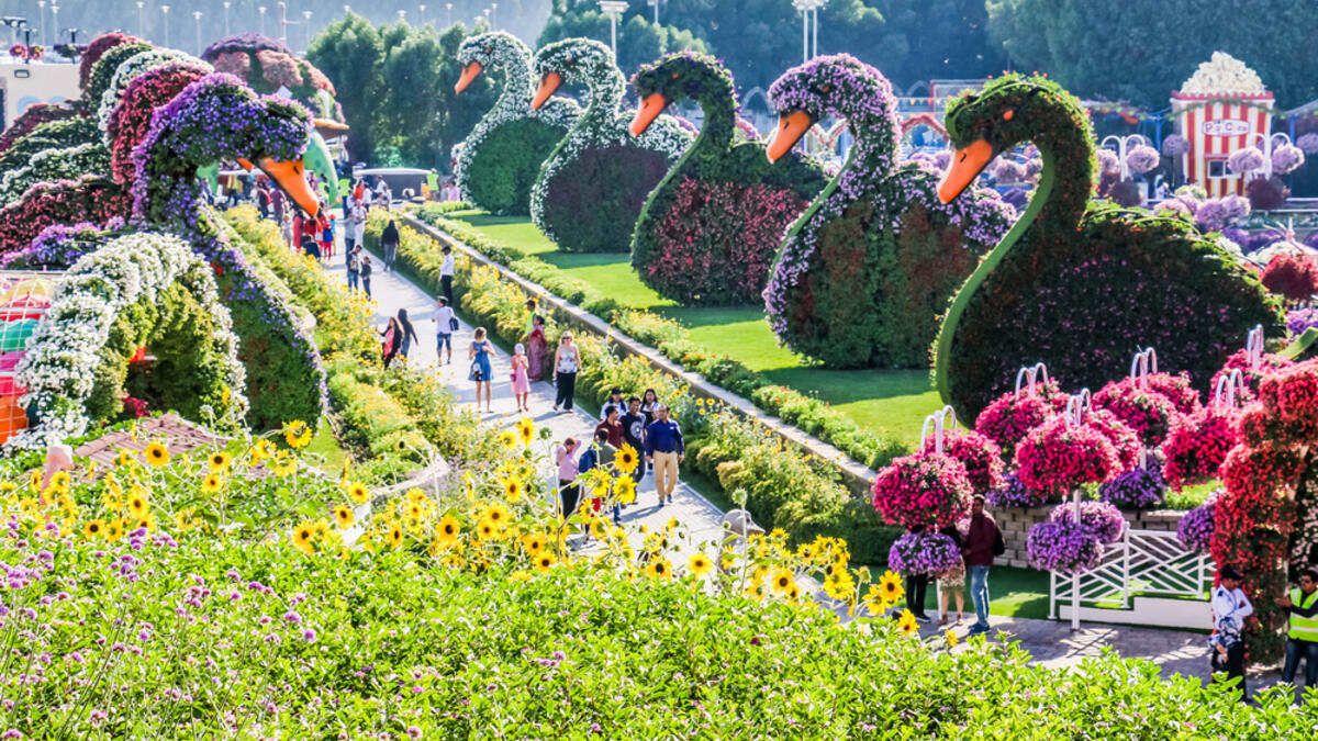 Beautiful Flourish Duck and Flower Landscape Miracle Flower Garden. (Shutterstock/ File Photo)