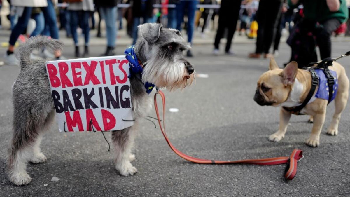 Britain voted narrowly to leave the EU in a divisive 2016 referendum and is set to leave in March next year. (Tolga AKMEN / AFP)