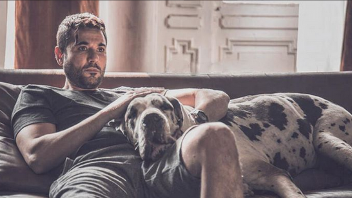 الخلية: تدور الاحداث حول ضابط في العمليات الخاصة يتصدى لأكثر من عملية إرهابية ويقوم بمطاردة الخلايا الإرهابية، من بطولة أحمد عز وإخراج طارق العريان.