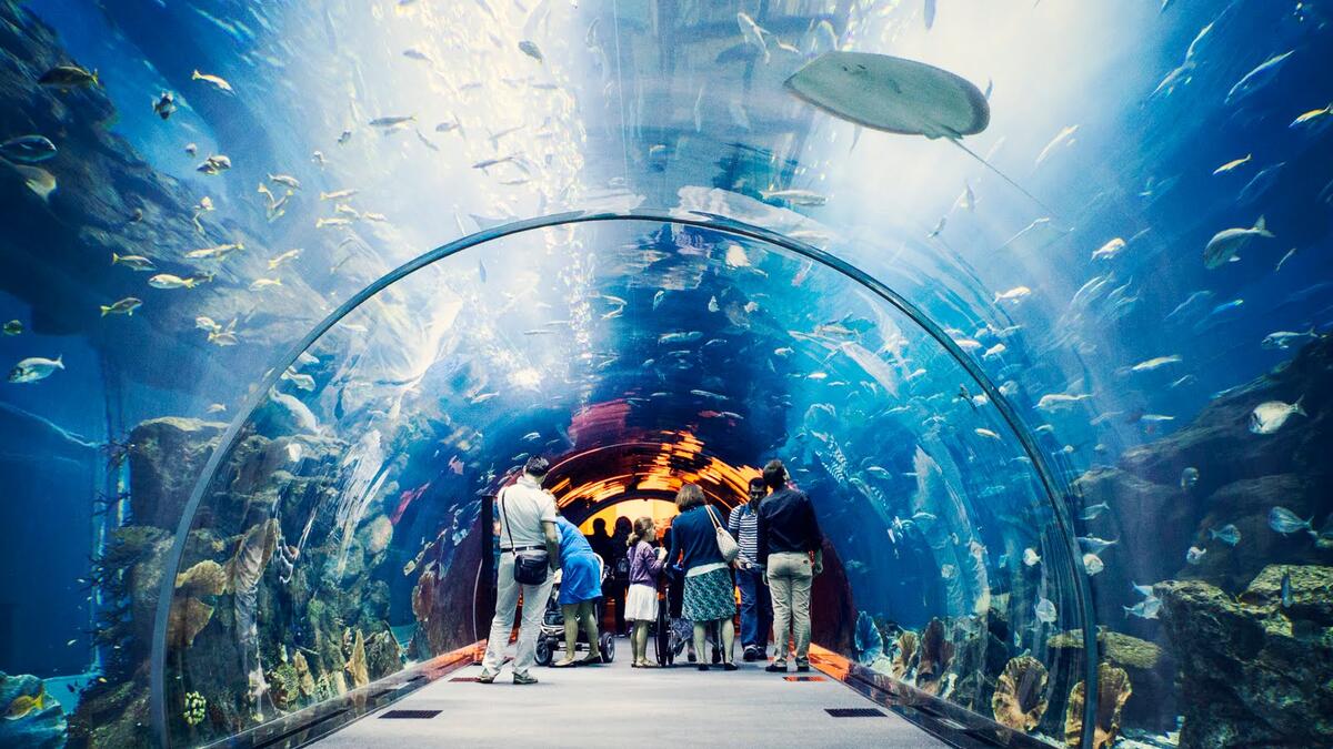 Dubai Mall World Largest Shopping Mall Indoor Outdoor Aquarium Fountain Amazing Show. (YouTube screenshot)