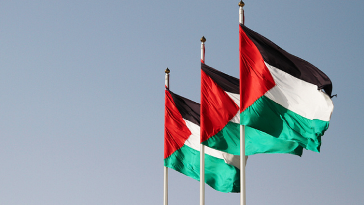 بعد قيام العديد من الدول العربية باضاءة علم فرنسا على ابرز معالمها تضامناً مع احداث باريس قام احد رواد موقع تويتر بنشر فيديو يظهر منع علم فلسطين في احد مبارايات كرة السلة في الامارات مستنكراً هذا التصرف.