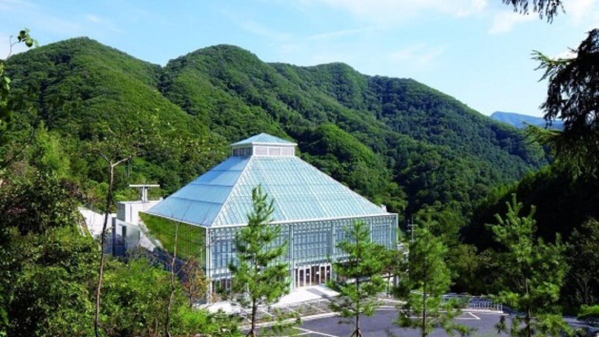 كنيسة نور الحياة – كوريا الجنوبية: يقع المبنى الزجاجي حداثي التصميم على بُعد 30 كيلومترًا داخل الغابات؛ ما يجعلها تبدو كقطعة من الكريستال غارقة في الأخضر، فتنتقل إلى عالم مختلف مبني من منحوتات الأخشاب حداثية التصميم أيضًا.