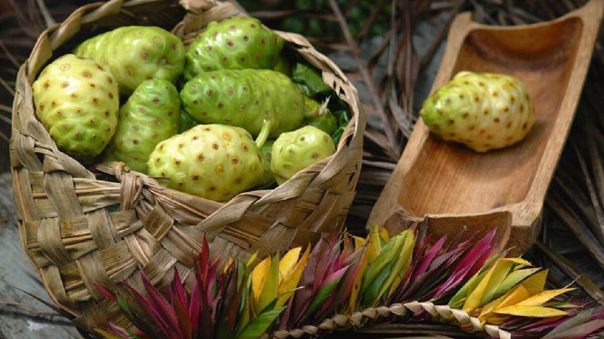 فاكهة النوني: تشبه إلى حد كبير فاكهة القشطة وتزرع في جزر المحيط الهادي، تطبخ وتؤكل نيئة، تستخدم من قبل السكان المحليين في هاواي لمرض السكري، وارتفاع ضغط الدم، وصيانة القلب والصحة.