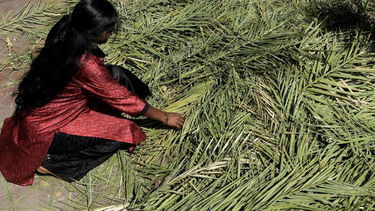 An Indian Christian devotee collects palm branches for a Palm Sunday service at Wesley church in Secunderabad, the twin city of Hyderabad on April 14, 2019. Palm Sunday marks the sixth and last Sunday of the Christian Holy month of Lent and the beginning of Holy Week. NOAH SEELAM / AFP