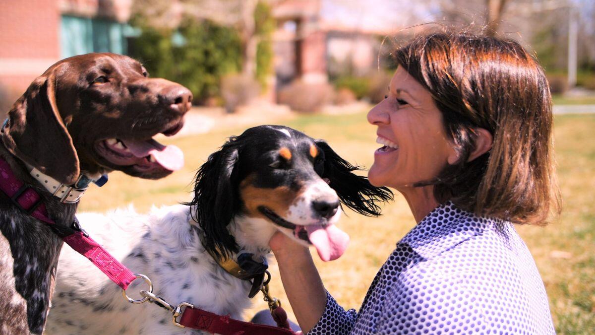 ستاسي ألونسو: في 2007، أنشأت ملجأ "Noah's Animal House" في لاس فيغاس، لتقديم خدمات رعاية لحيوانات النساء اللواتي يتعرضن للتعنيف المنزلي.
