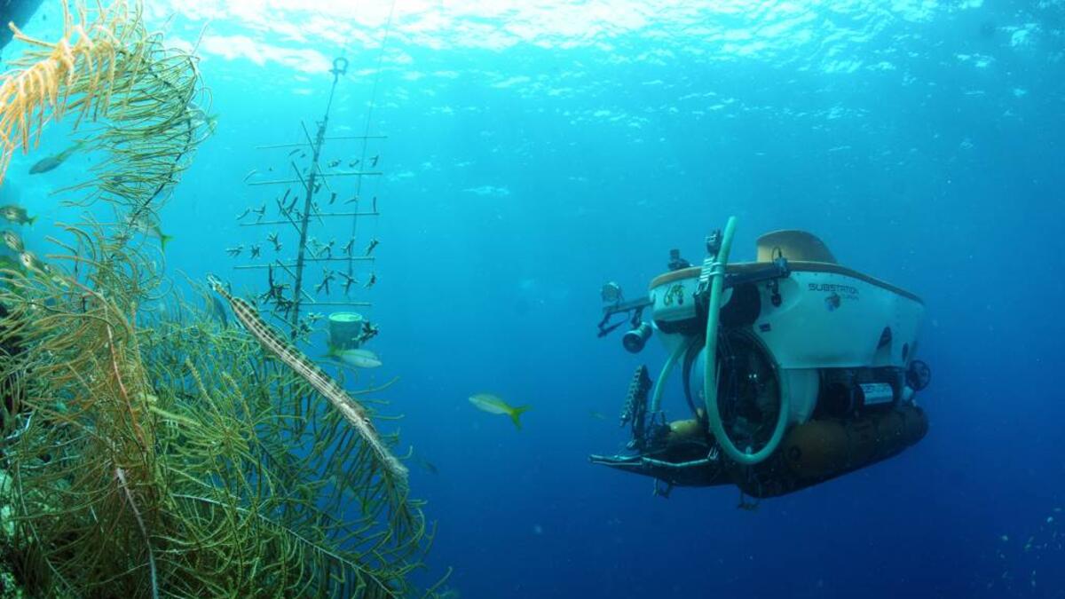 خندق ماريانا: أعمق نقطة في جميع محيطات العالم، معروف باسم Challenger Deep، ويبلغ عمقه المذهل 35787 قدمًا تحت السطح ويمكن مشاهدته من نافذة الطائرة، وهو عميق لدرجة أن تستطيع إسقاط جبل إفرست بداخله.