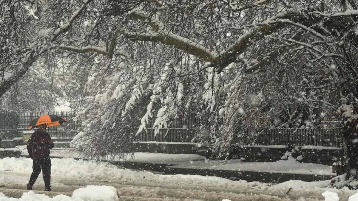 Heavy Snowfall in India Closes Highways and Cancels Flights