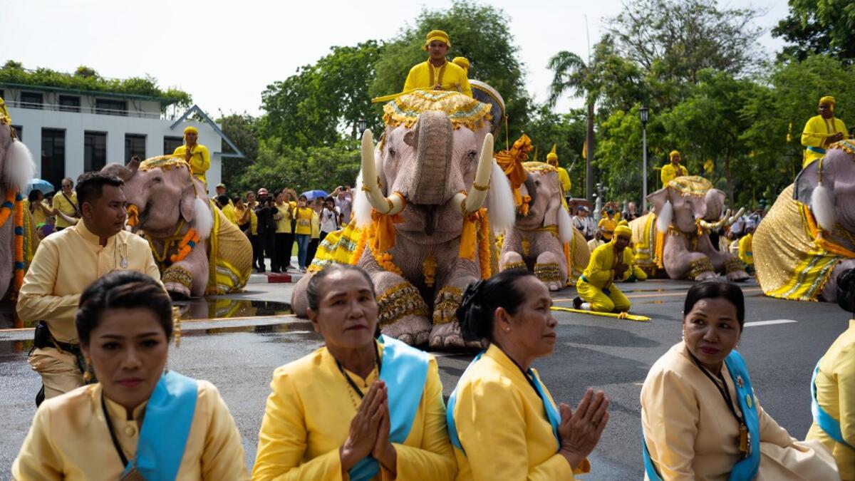 Elephants under the command of their mahouts bow with well-wishers during a procession near the Grand Palace to pay their respects to Thailand's King Maha Vajiralongkorn in Bangkok on May 7, 2019.  Jewel SAMAD / AFP
