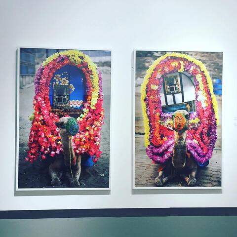 Saudi Artists Join Hands at The Shara Art Fair to Beat The Vicious Virus 