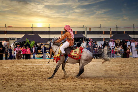 Female horse trainer fights Saudi’s patriarchy 