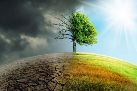 Europe's Climate Law is Crucial to Fight Climate Change