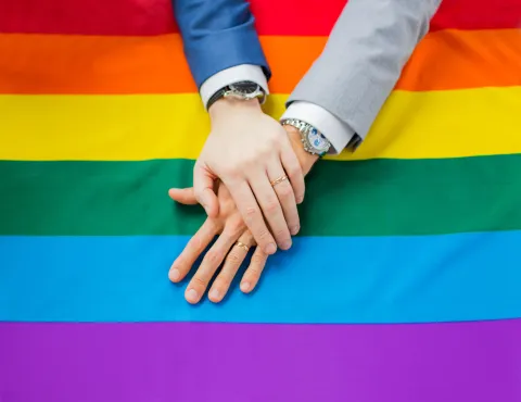 Japan Court Slams Cabinet Decision on Same-sex Marriage