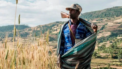 Will Eritrean Troops Exit Tigray?