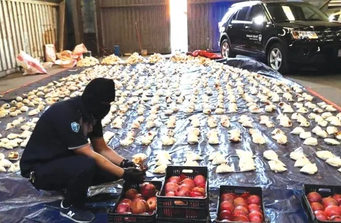 الإمارات تؤيد قرار السعودية بحظر المنتجات الزراعية القادمة من لبنان