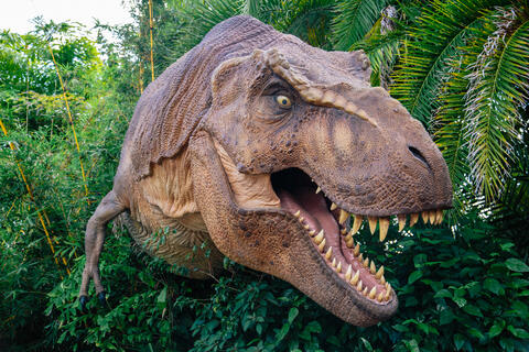 Can we Rebuild a Jurassic Park Full of Dinosaurs?