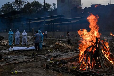 Is India's Bird Flu More Deadly Amid Coronavirus Pandemic?