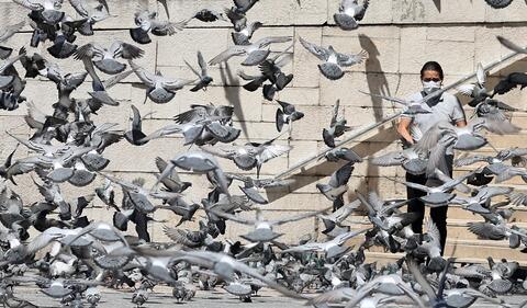 Turkey Gradually Lifts COVID-19 Restrictions